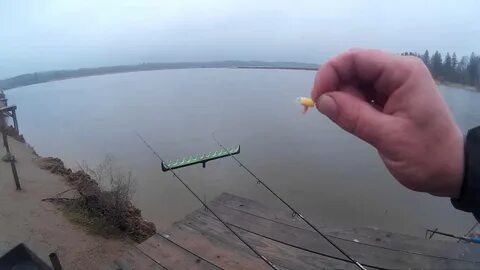 Раково платная рыбалка