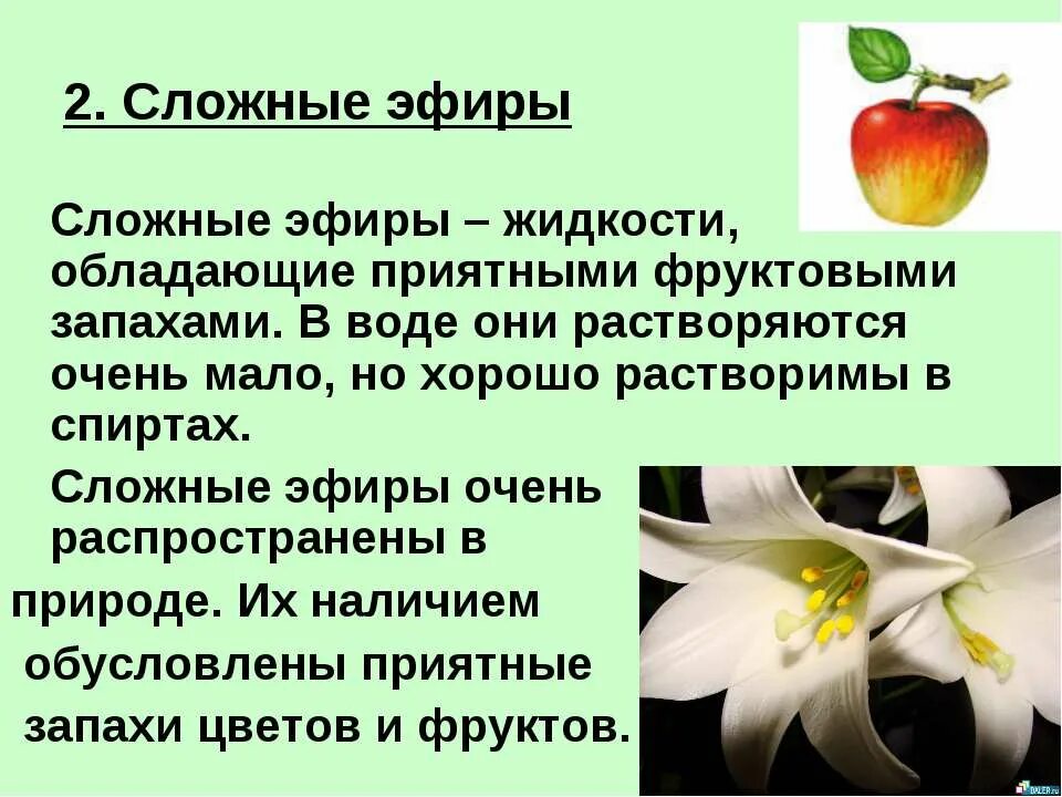 Сложный эфир груши. Нахождение в природе простых эфиров. Нахождение в природе сложные эфиры и жиры. Амилацетат структурная формула. Биологическая роль сложных эфиров в живой природе.
