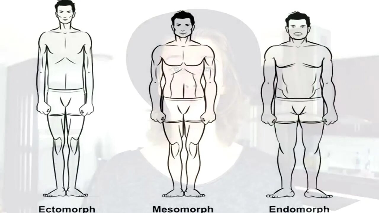 Эктоморф мезоморф и эндоморф. Аполлон эктоморф. Эндоморф мужчина. Экто-мезоморф. Кто такой эктоморф и мезоморф