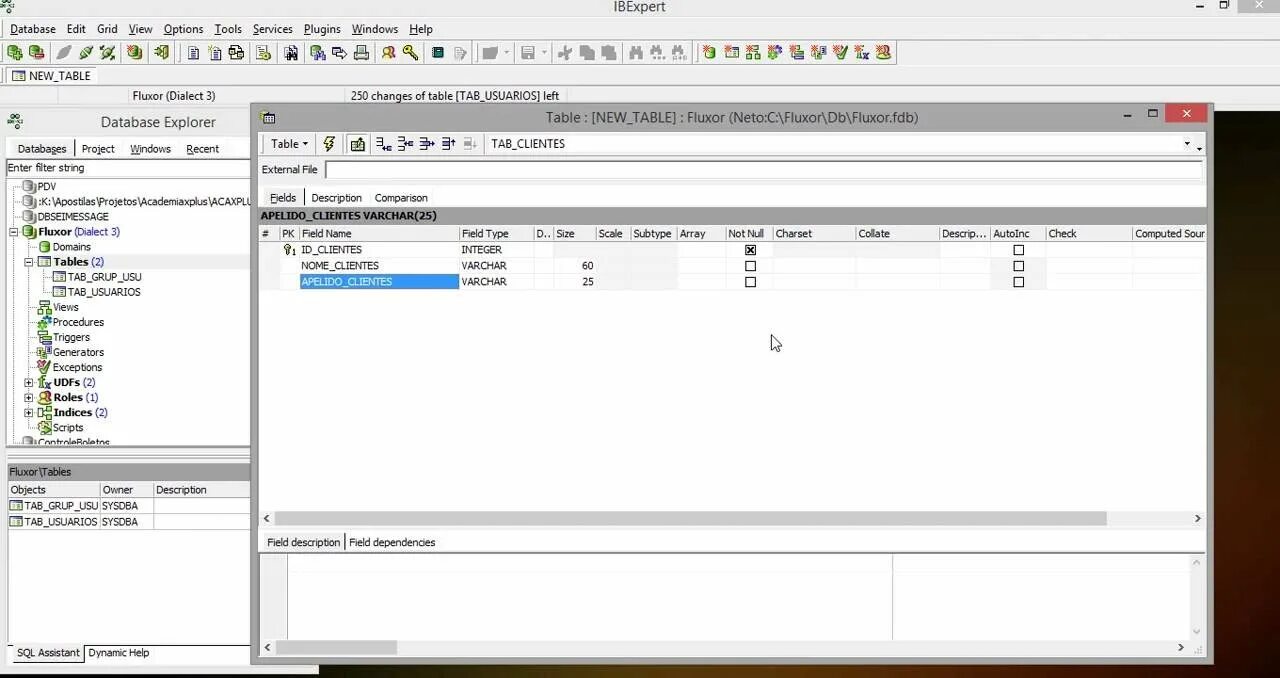 Схемы ibexpert. Ibexpert добавить данные. Файл fdb. Ibexpert. Ibexpert.