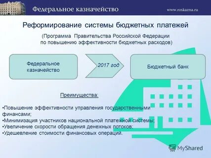 Система бюджетных платежей