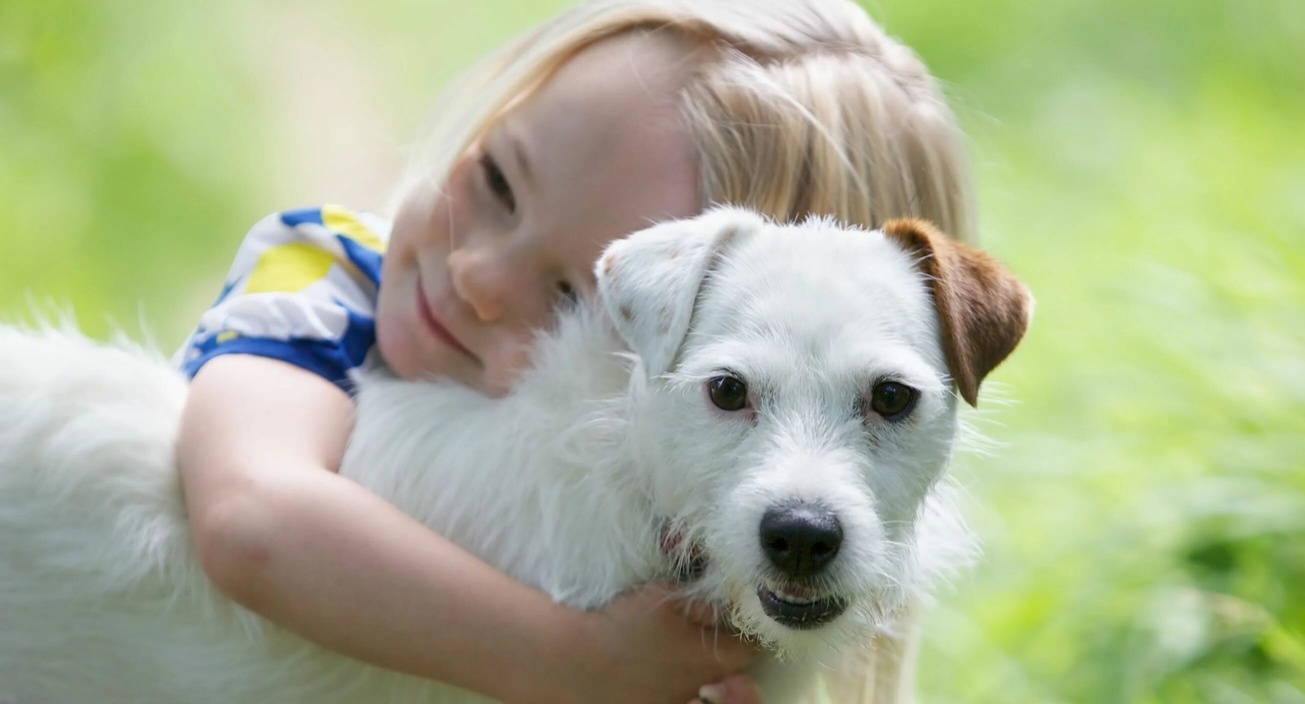 After your pet. Looking after pets. children and pets. look after pets. lookin after pets.