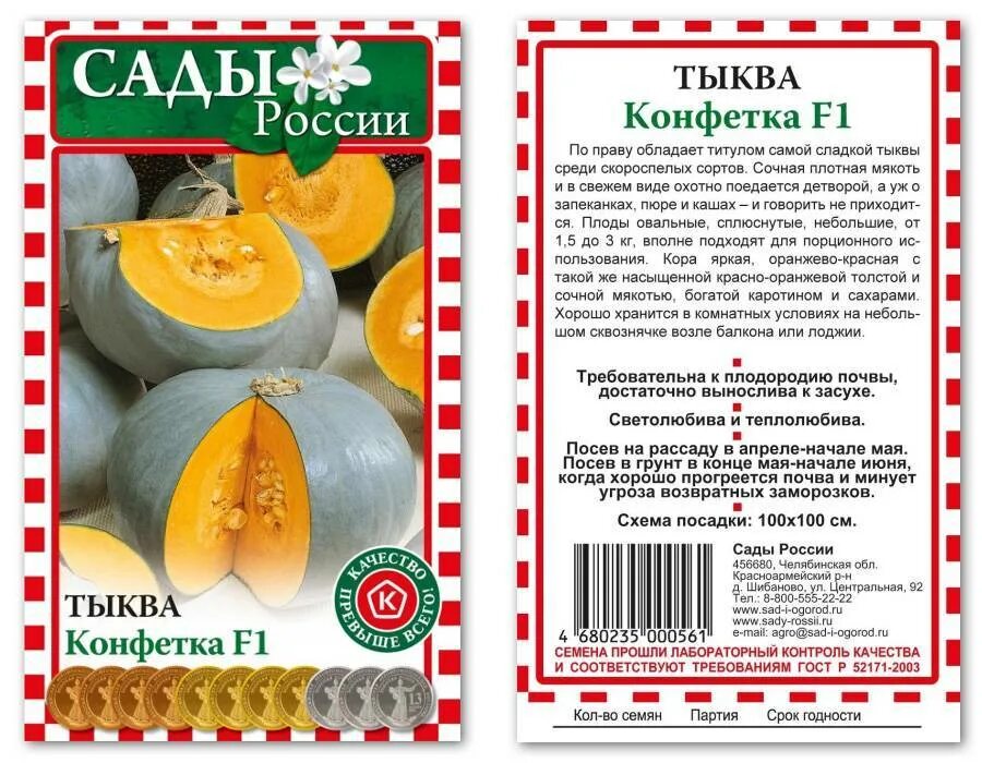 Тыква срок семян. Тыква конфетка f1. Семена. Тыква "конфетка". Тыква конфетка описание сорта. Тыква конфетка описание сорта фото.