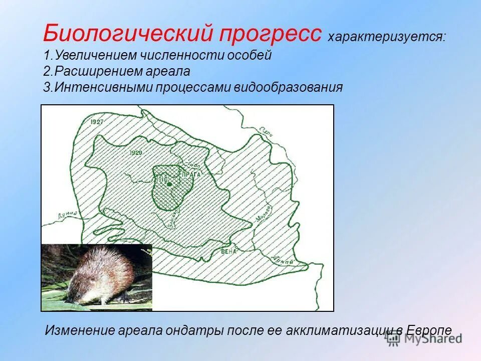 Что может быть причиной изменения площади ареала. Изменение ареала. Изменение ареалов животных. Причины расширения ареала. Расширяющийся ареал.