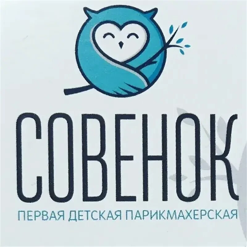 Совенок элиста. Совенок. Филин сова неясыть. Совенок элиста. Пушистая сова.