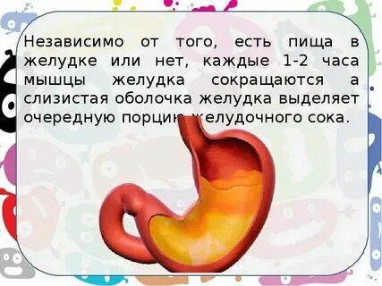 Почему постоянно урчит живот громко