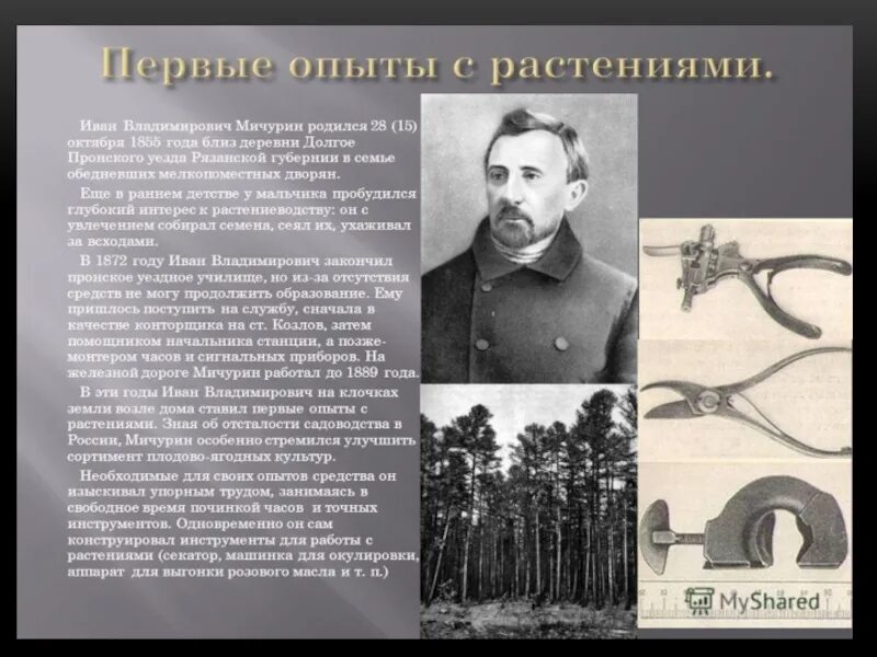 Иван мичурин биография личная жизнь Ученые люди. Иван Мичурин