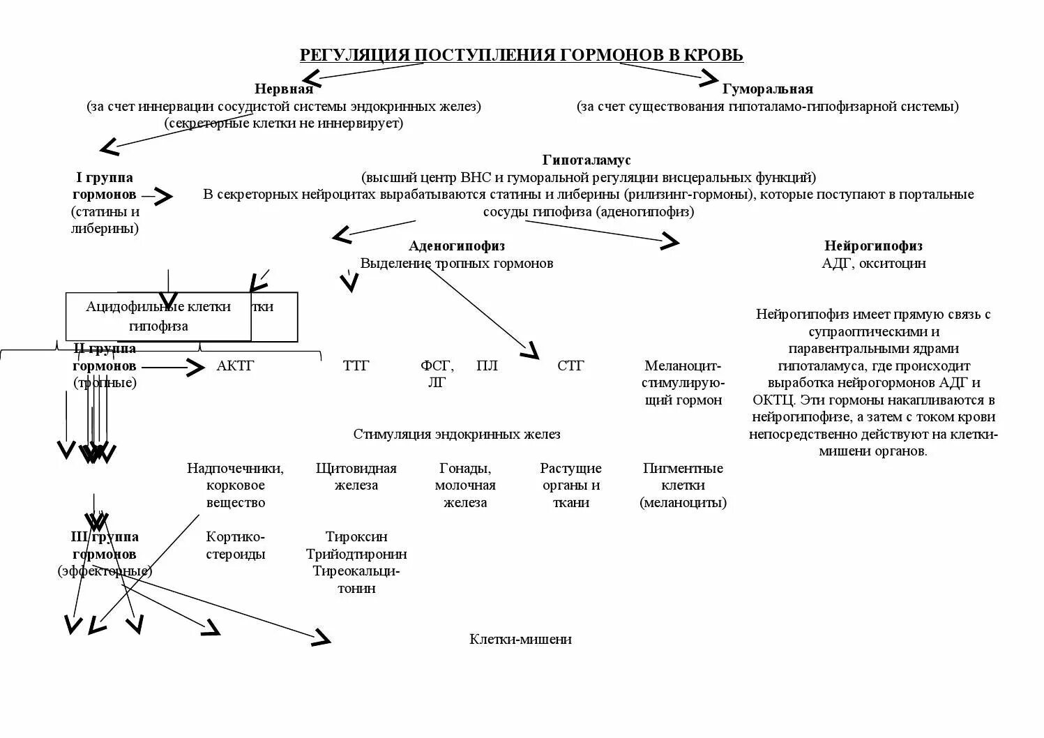 Для чего колят гормоны. Для чего колят гормоны