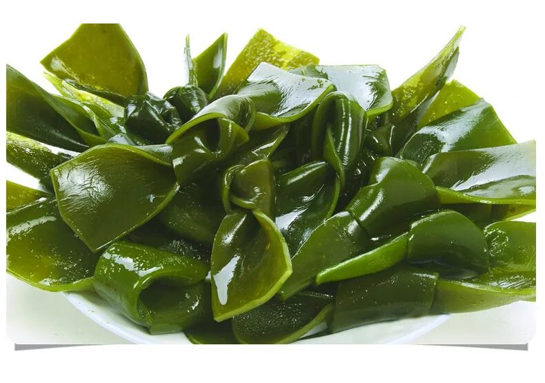Kelp extract