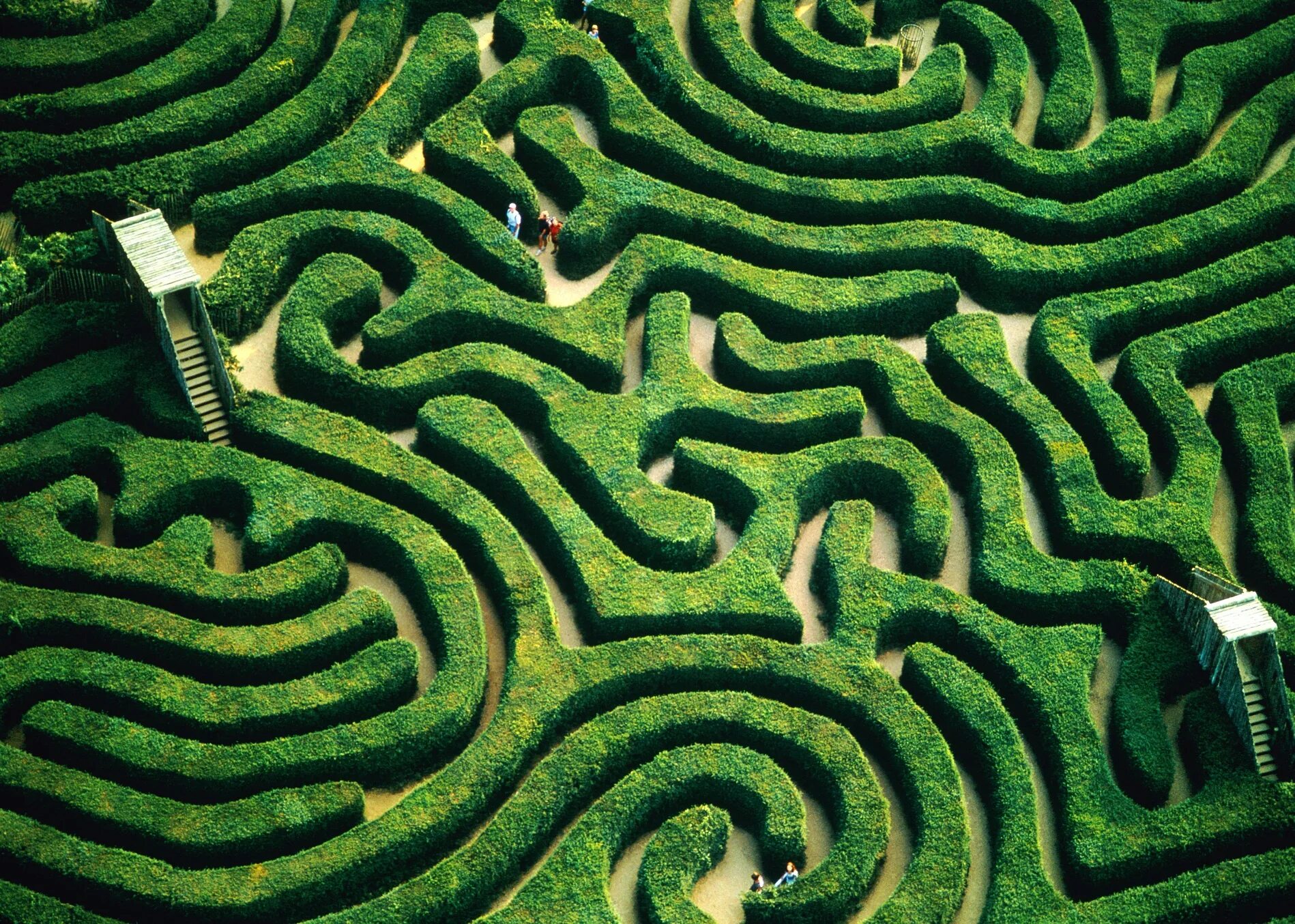 Лабиринт закрывается. Лабиринт Лонглит. Лабиринт Longleat Hedge Maze. Уилтшир Англия Лабиринт. Longleat Hedge, Англия.