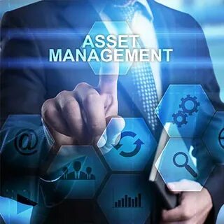 Software Market of Software Asset Management (SAM).