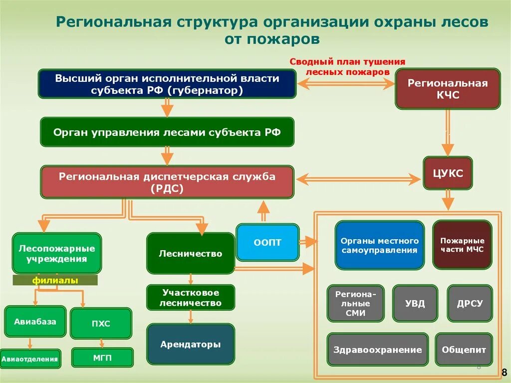 Организационная структура охраны лесов. Структура управления лесным хозяйством. Охрана леса организация. Охрана лесов схема. Отдел охраны в организации