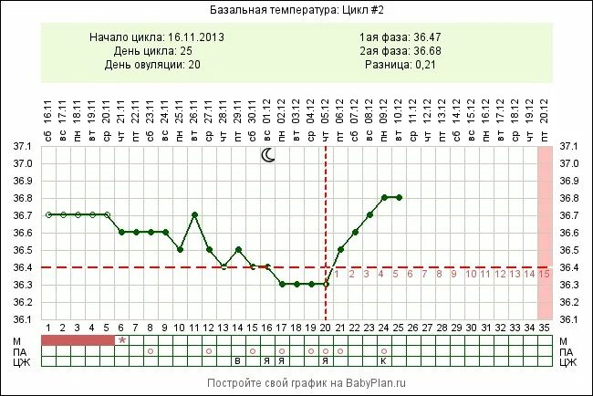 Предполагаемая овуляция