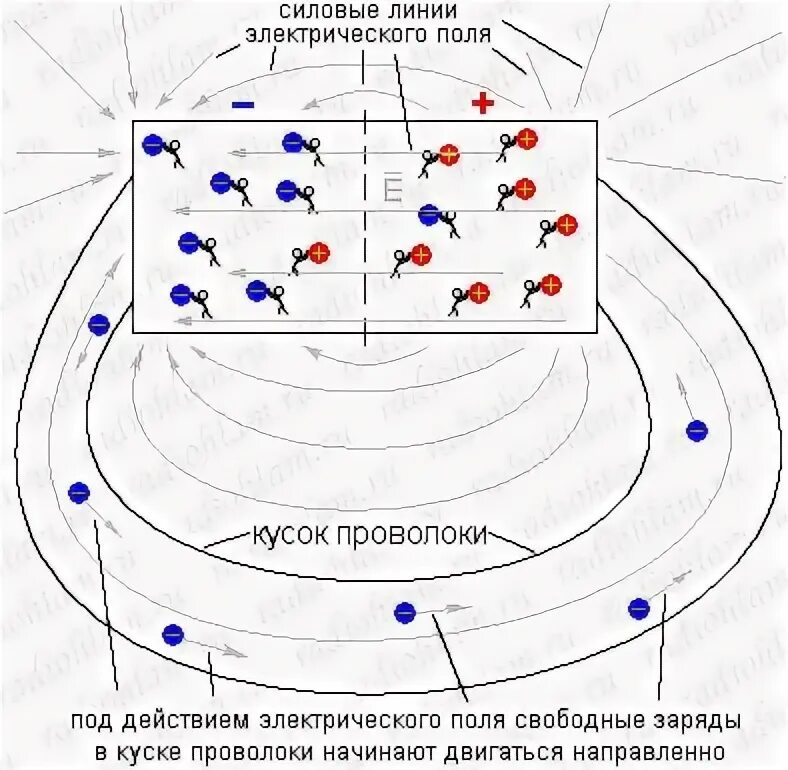 Электрический заряд атома. Свободные электроны в проводнике. Движение дырок в полупроводнике. Движение ионов металлов. Свободные электроны в металлах.