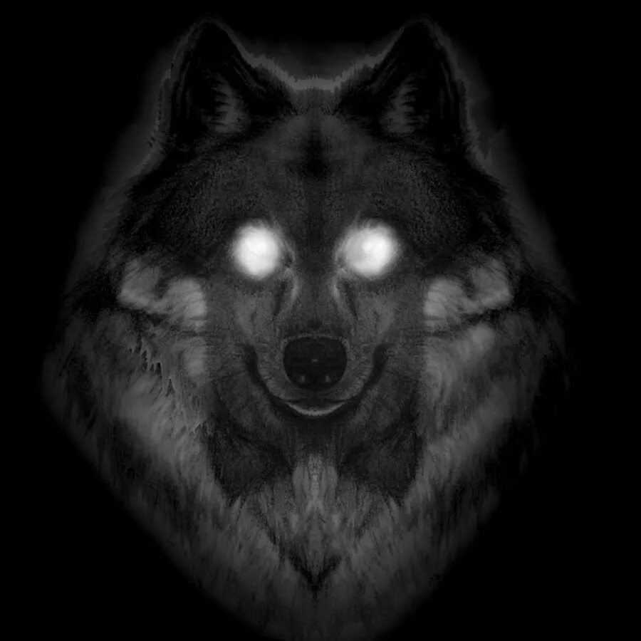 Волк светятся глаза. Глаза волка в темноте. Глаз волка. Волк со светящимися глазами. Волчьи глаза в темноте.