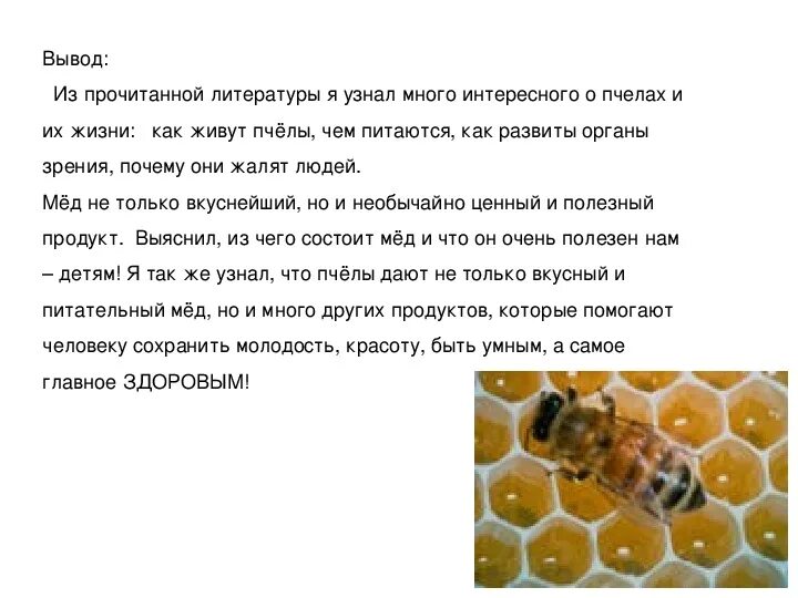Текст про пчел. Вывод про пчел. Проект про пчел 2 класс. Пчеловодство вывод. Интересные факты о пчелах.