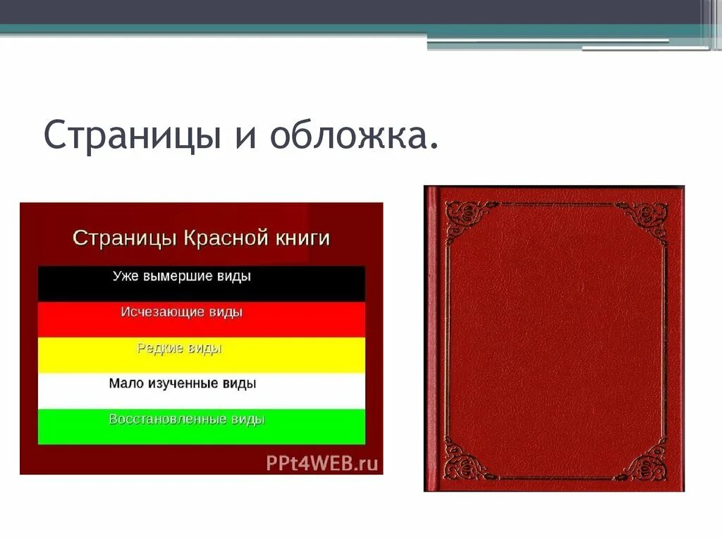 Международная книга россии. Международная красная книга. Виды красных книг. Международная красная книга обложка. Оформление красной книги.