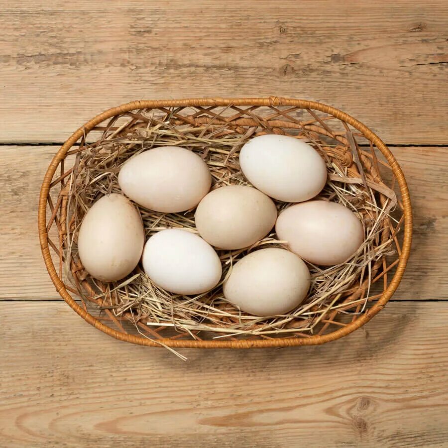 Утиные яйца. Яйца кур. Яйцо утки. Яйца домашней утки.