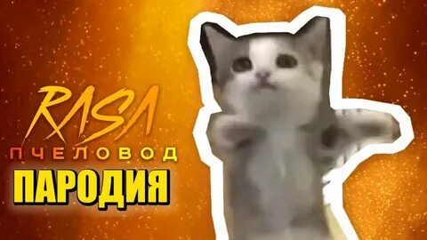 Шни шна шнапи мем