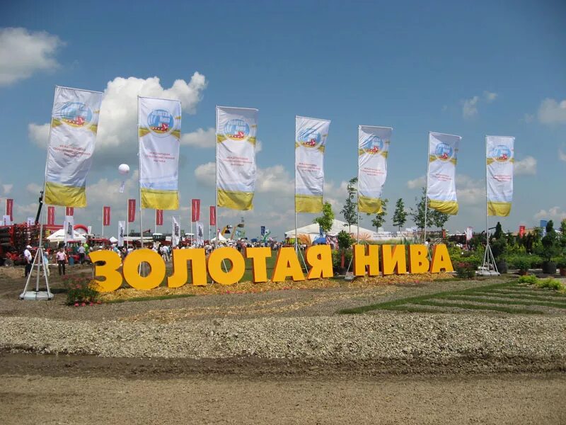 Выставка золотая нива 2022. Золотая нива город. Золотая нива 2022 усть лабинск. Золотая нива усть лабинск. Выставка усть лабинск золотая нива.