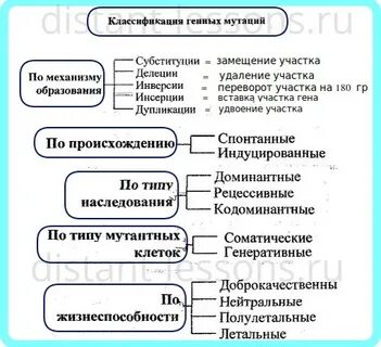 Генная мутация возникает в результате