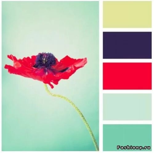 Красивое сочетание красного и зеленого. Сочетание цветов красный зеленый синий. Цветовая палитра. Цветовая палитра зеленый синий красный. Сочетание красного и синего палитра.