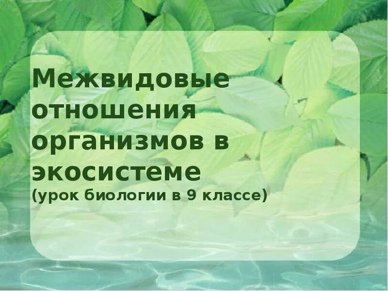 Межвидовые отношения организмов в экосистеме. Межвидовые отношения организмов в биогеоценозе. Межвидовых взаимоотношениях организмов в экосистемах. Отношения организмов в экосистеме 9 класс. Межвидовые отношения презентация