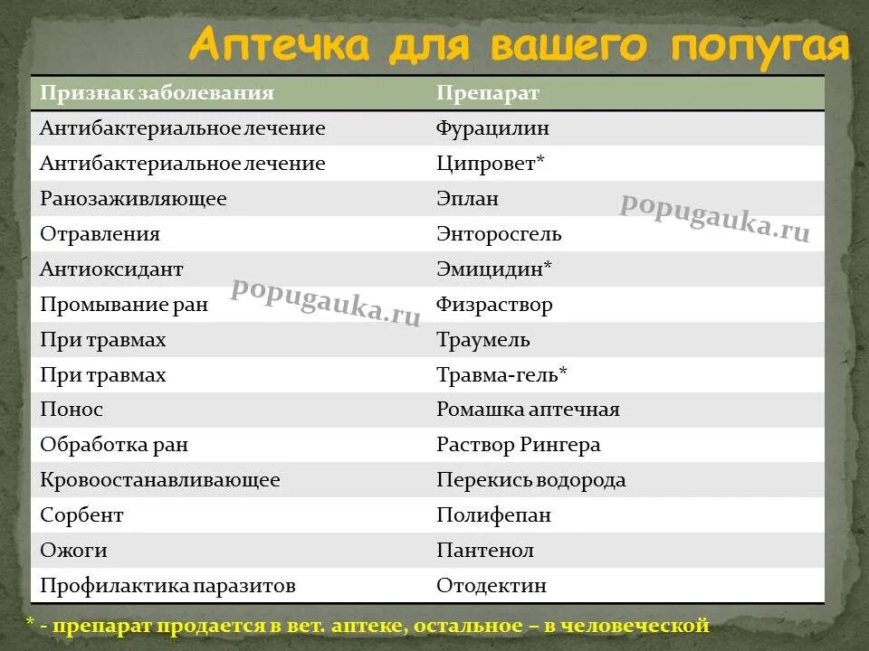 Обезболивающие попугаю. Какие антибиотики можно давать попугаям. какие антибиотики можно давать попугаю волнистому. антибиотик для попугаев. антибиотик для попугая волнистого.