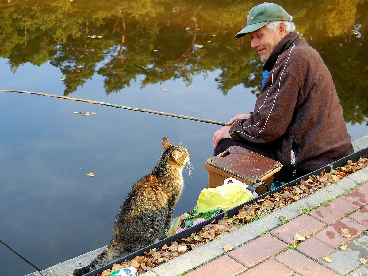 Ловлю роль. Кот Рыбак. Кот на рыбалке. Кот с рыбой. Кот ловит рыбу.