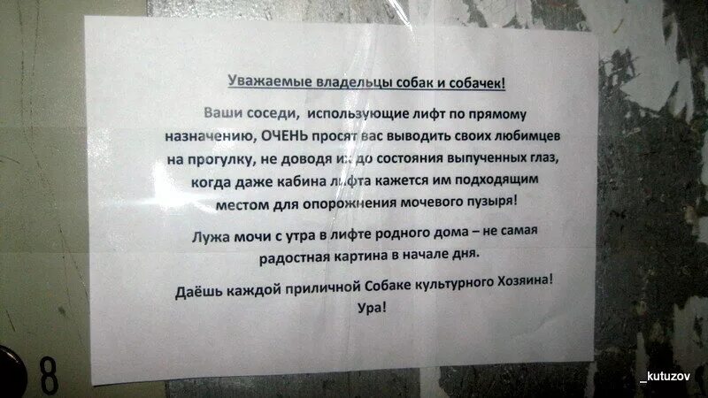 Соседская собака мешает спать. Объявление о собаках в подъезде. Обращение к соседям. Собаки гадят в подъезде объявление. Лает собака у соседей объявление.