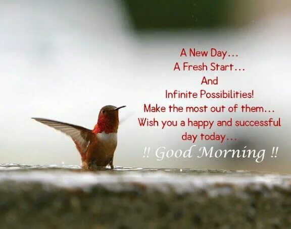Today is the start of