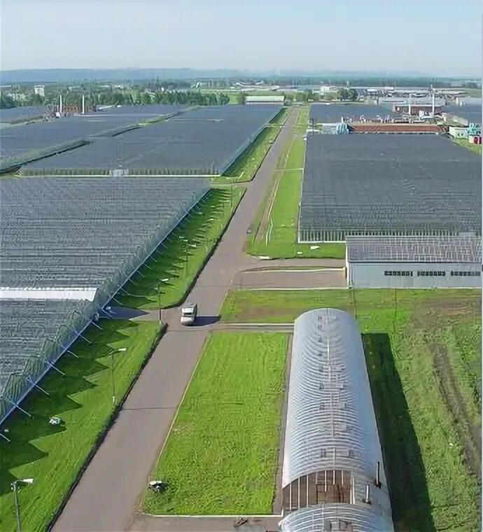 Алексеевский тепличный комбинат уфа. Гусп алексеевский совхоз уфимский район. Тепличный комбинат гусп совхоз алексеевский. Гусп совхоз алексеевский. Совхоз алексеевский уфа.