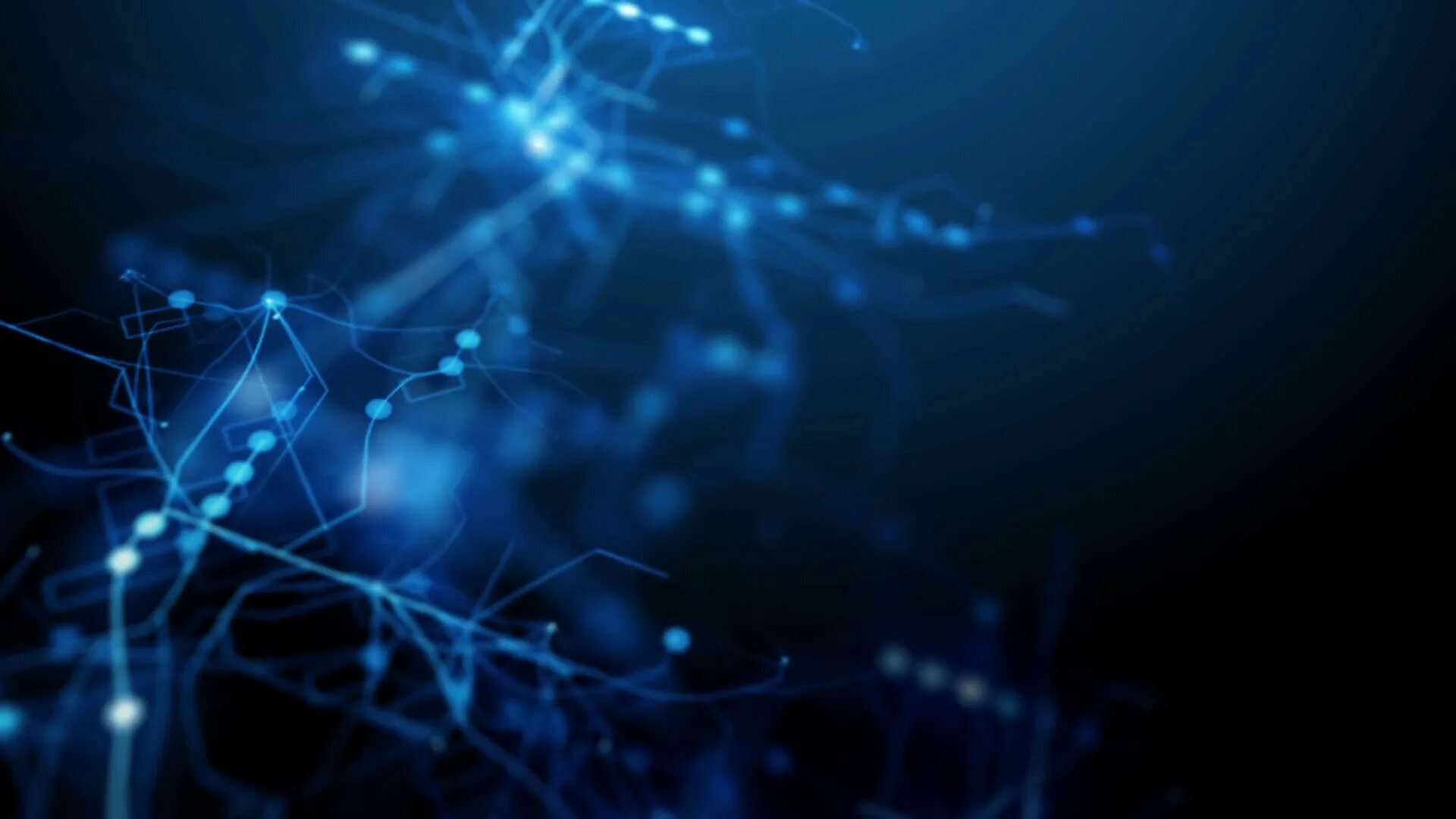 Ai networking