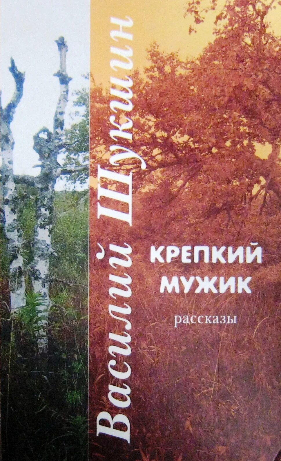 Шукшин крепкий мужик 2009. Книги Василия Шукшина. Крепкий мужик книга. Крепкий мужик читать