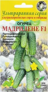 Отзывы огурцов мадрилене f1
