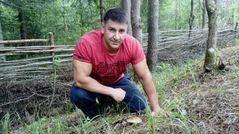 Дмитрия мурашова