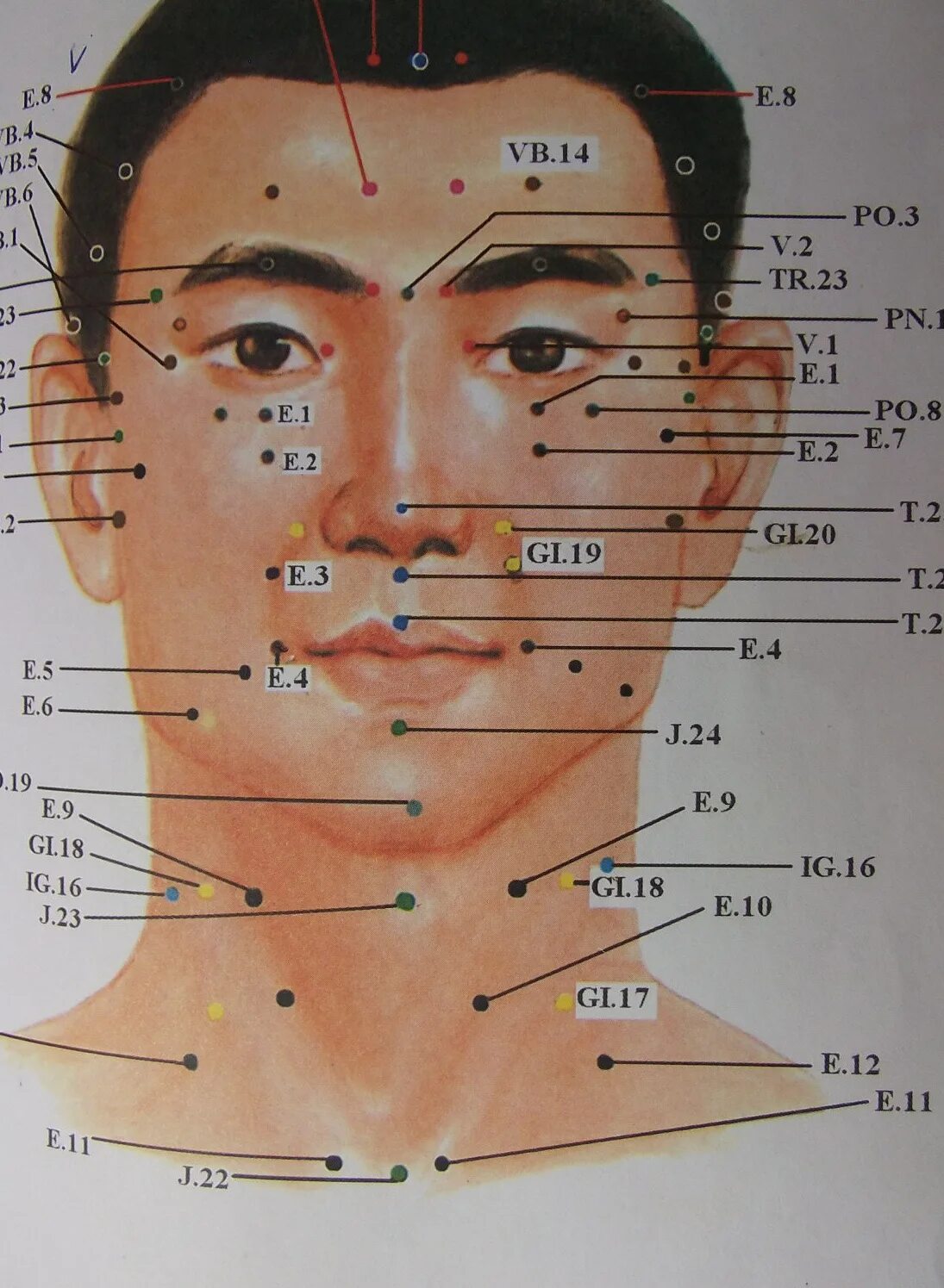 Иглоукалывание лицевой нерв. Точки акупунктуры на лице. Акупунктурные точки на лице человека. Акупунктурные точки на лбу. Тачки лицо.