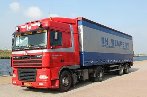 Daf 95