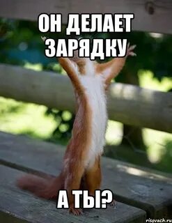 Доброе утро делаем зарядку
