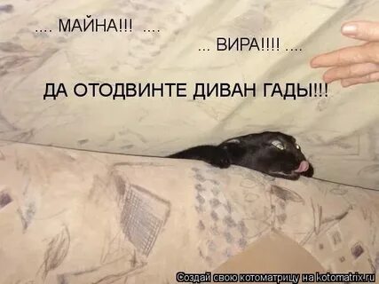 Моя вира