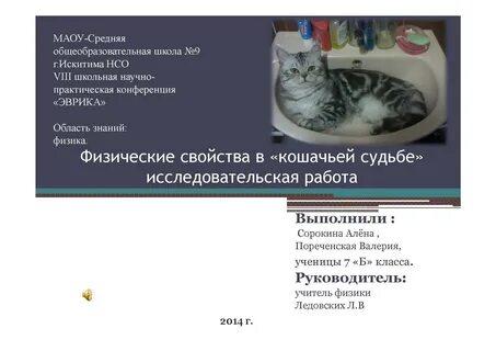 Свойства кошачьего