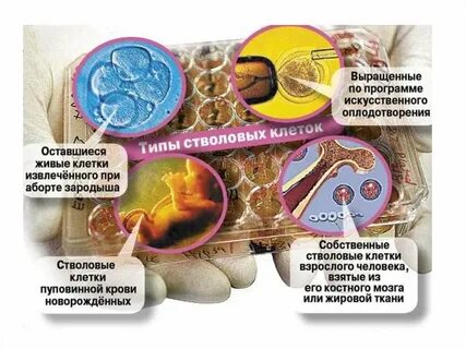 Клеточные источники