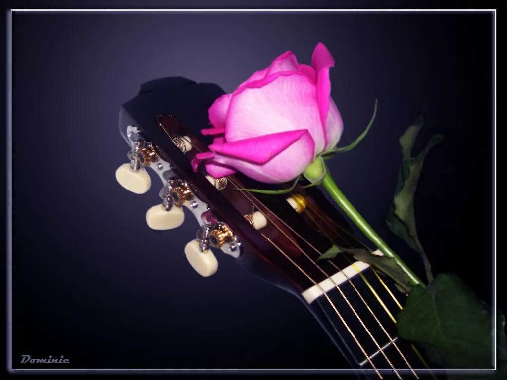 Красивое исполнение. Музыкальное спасибо. Скрипка и розы. Открытка замечательное исполнение. Благодарственная грамота.