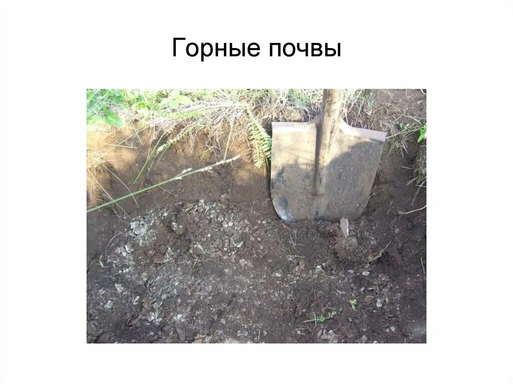 Горные лугово-степные почвы. Горно-луговые почвы профиль. Горный алтай глиняные горы. Горно луговые тип почвы. Почвы горных областей.