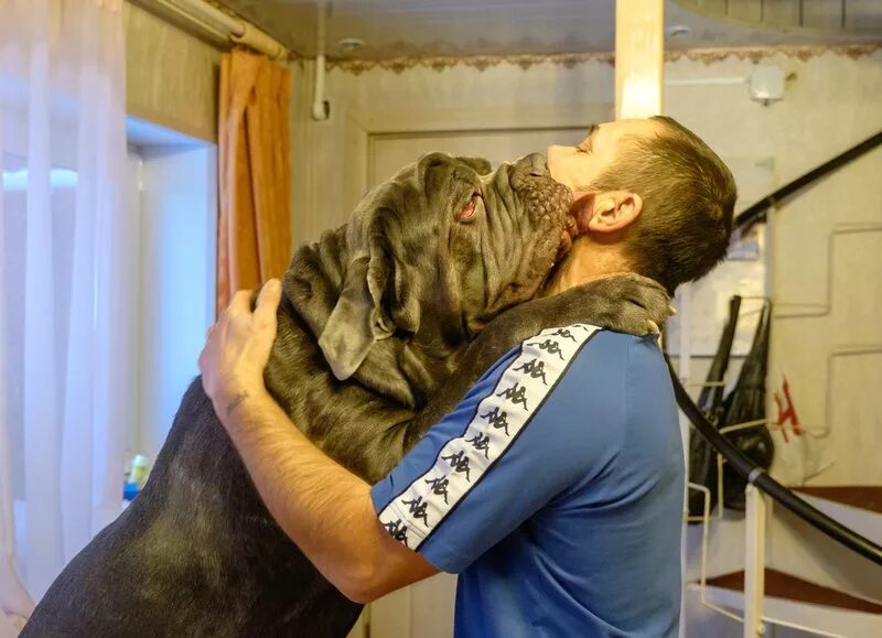 репортаж про собаку