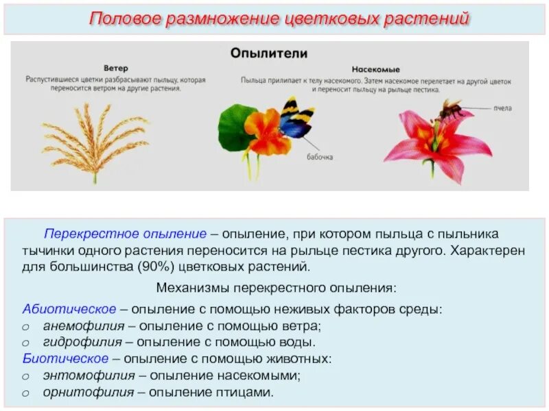 Кто то должен опылять цветок