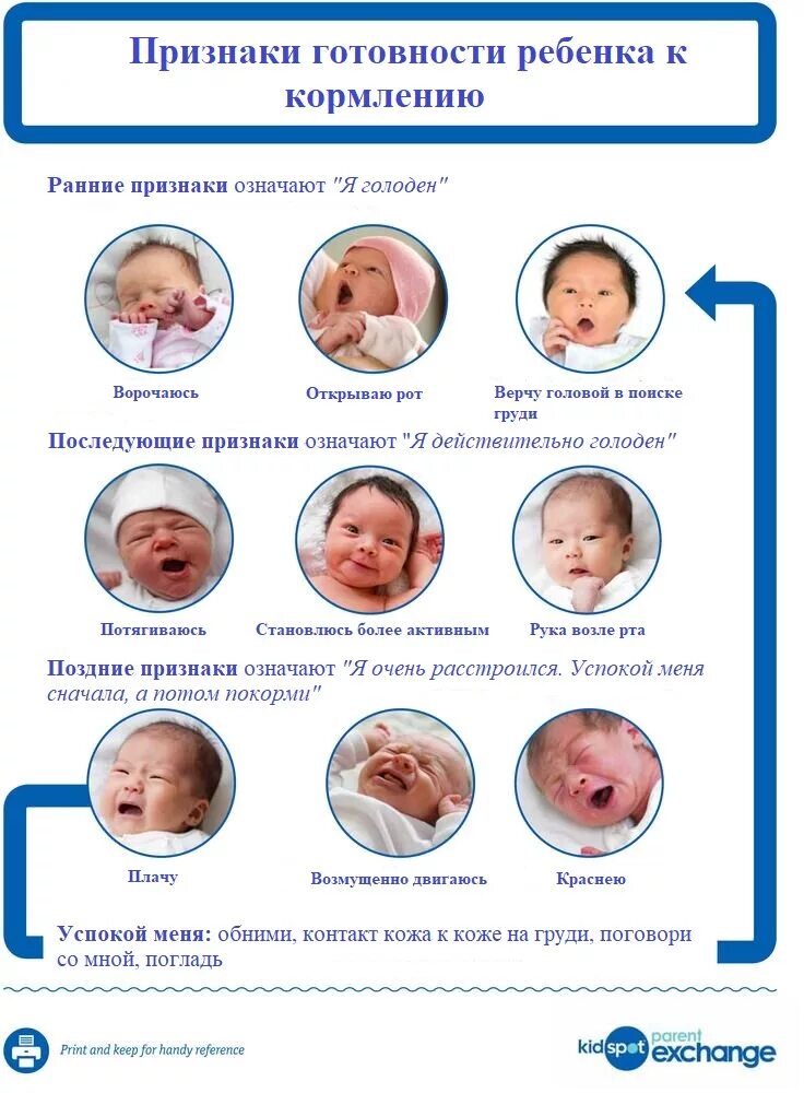 Голодные груднички. Признаки готовности ребенка к кормлению. Признаки что грудничок хочет есть. Как понять что младенец голоден. Новорожденный хочет есть признаки.