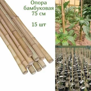 Опора бамбуковая для растений