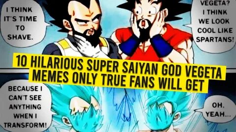 10 Hilarious Super Saiyan God Vegeta Memes Only True Fans Will Get. - Animated T