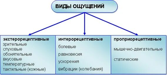 Ощущением не является. Виды ощущений в психологии таблица. Классификация ощущения и восприятия в психологии. Виды ощущений в психологии кратко. Таблица по видам ощущений.